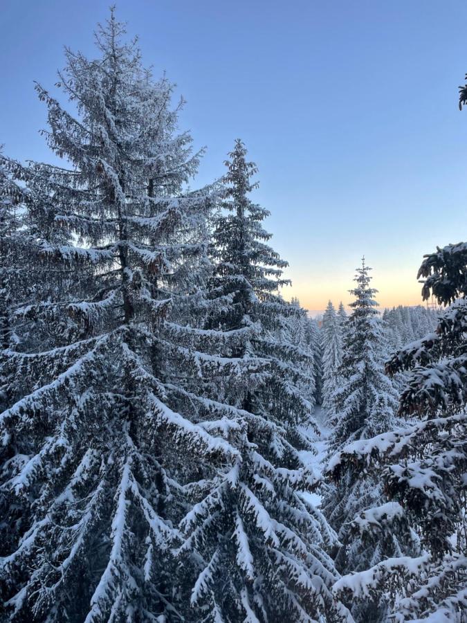Woodside Apartment 431, Kopaonik - One Separate Bedroom 35M2- Free Parking & Spa Esterno foto